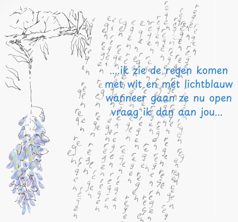 Beginpagina website